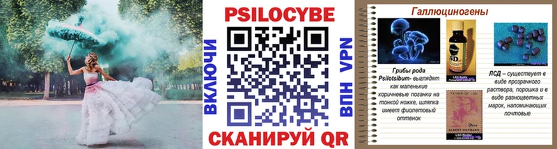 Псилоцибиновые грибы мухоморы  где купить наркотик  Биробиджан 