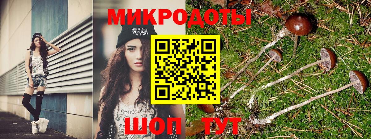 Галлюциногенные грибы MAGIC MUSHROOMS  Вход с VPN  как найти закладки  Биробиджан  Псилоцибиновые грибы Psilocybe 